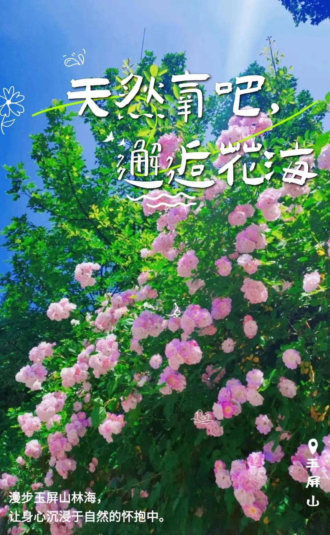 乌尔姆狂胜亚琛，一场壮观的比赛所见证